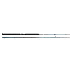 Savage Gear SGS2 Shore Jigging 9'6"