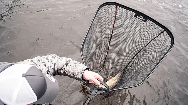 Abu Garcia Beast Net Foldable M 70x60cm 4 Abu Garcia Beast Net Foldable M 70x60cm - Bilde 4