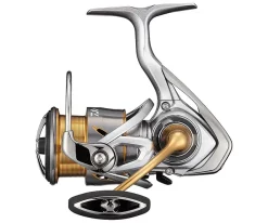 Daiwa Freams LT 6000