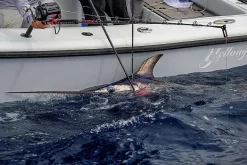 Daiwa Tanacom 1200 -Billig Sneller butikk daiwa tanacom 1200 12.640