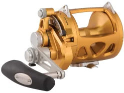 Penn International 30VISW Gold