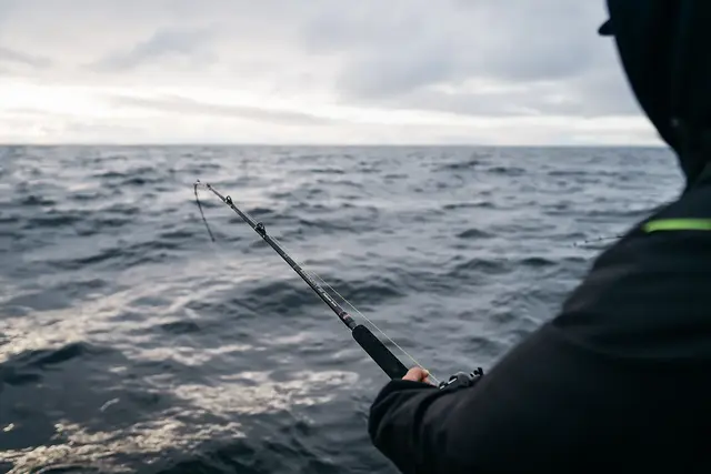 Penn Regiment III Halibuster 20-30lbs 6 Penn Regiment III Halibuster 20-30lbs - Bilde 6