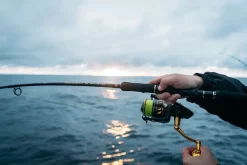 Penn Regiment III Spin And Pilk 10' -Billig Sneller butikk penn soroya shoot 43 slammer iv regiment iii.640 1