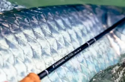 Sage R8 Salt 9'0" #7 -Billig Sneller butikk sage r8 salt miljo 011.640