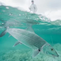 Sage R8 Salt 9'0" #7 -Billig Sneller butikk sage r8 salt r8 790 4 04.640