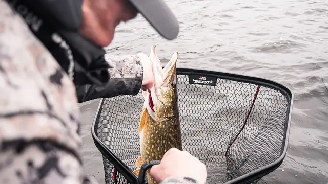 Abu Garcia Beast Net Foldable M 70x60cm 5 Abu Garcia Beast Net Foldable M 70x60cm - Bilde 5