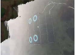 C. A. LESCHBRANDT CAL Fisketeine -Billig Sneller butikk web image fisketeine 95 65 80cm havteine 264287 4 1144474246 plid 56321.640